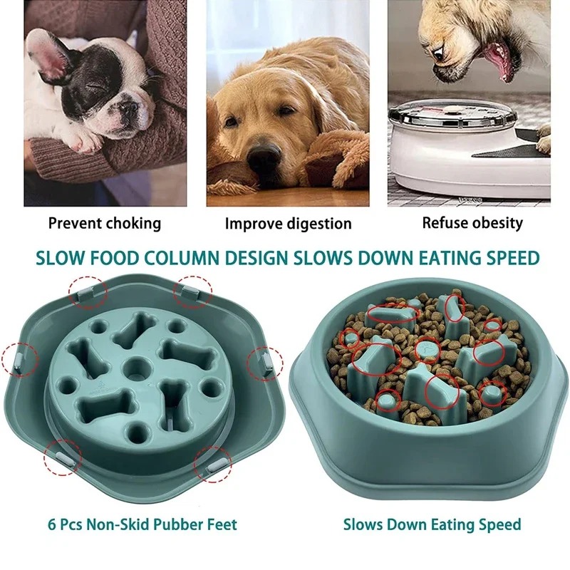 Ciotola per Cani Anti-ingozzam - Royal Canin Food Medium recensione e prezzo